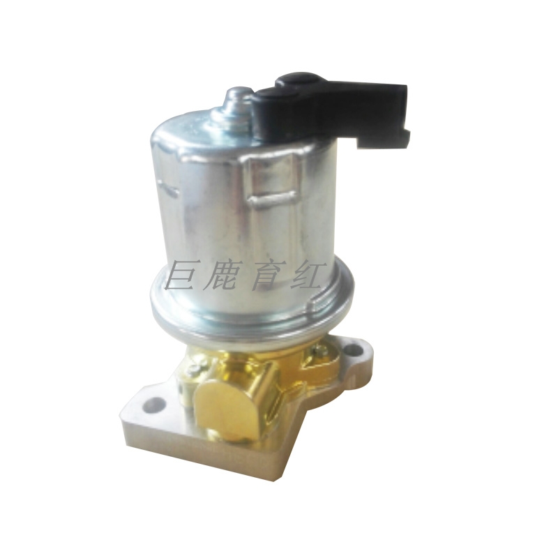 TR100 Fuel pump 4076581 TR100 Fuel pump 4076581