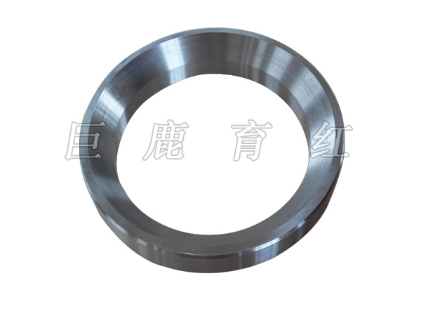 TR100 Ring 09062561 TR100 Ring 09062561